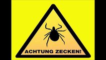 Radiosendung Zeckenbiss: Die Biene Maja und der faule Niki