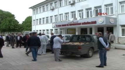 Elazığ'da Kaçak Avlanan 6 Ton Balık Ele Geçirildi