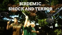 Birdemic: Shock and Terror - ¡Análisis en Putea al redactor!