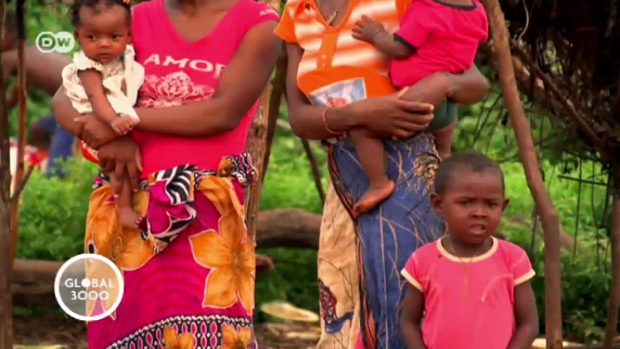 Lemuren auf Madagaskar | Global 3000