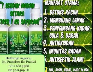 0812-180-3988, Jual Klorofil Di Pekanbaru, Jual Klorofil Di Palembang