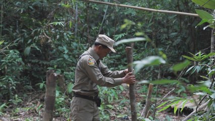 La peligrosa actividad de proteger los bosques de Camboya
