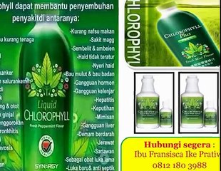 Jual Klorofil Di Batam, Jual Klorofil Di Semarang