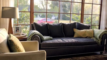 Top 10 Super Bowl Ads Featuring Animals