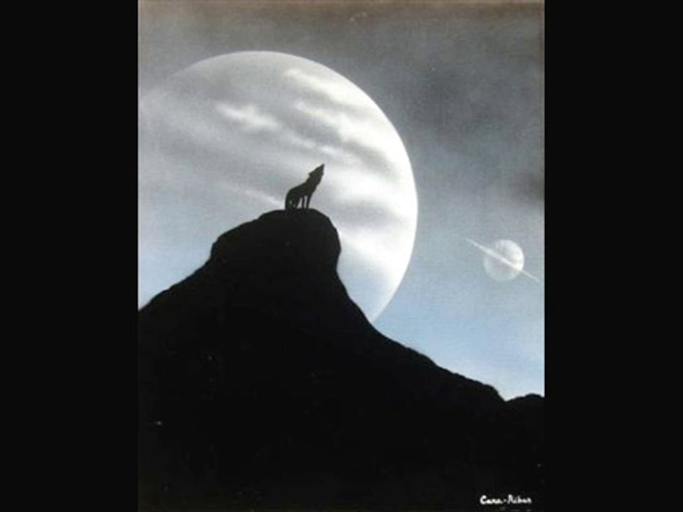 MOI LE LOUP