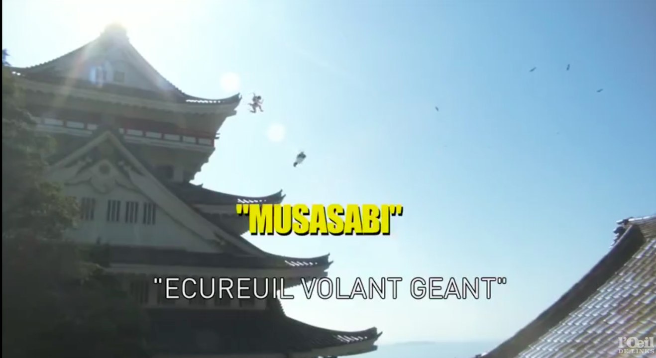 Japanese schoolgirls chase - L'Oeil de Links du 25/04 - CANAL+