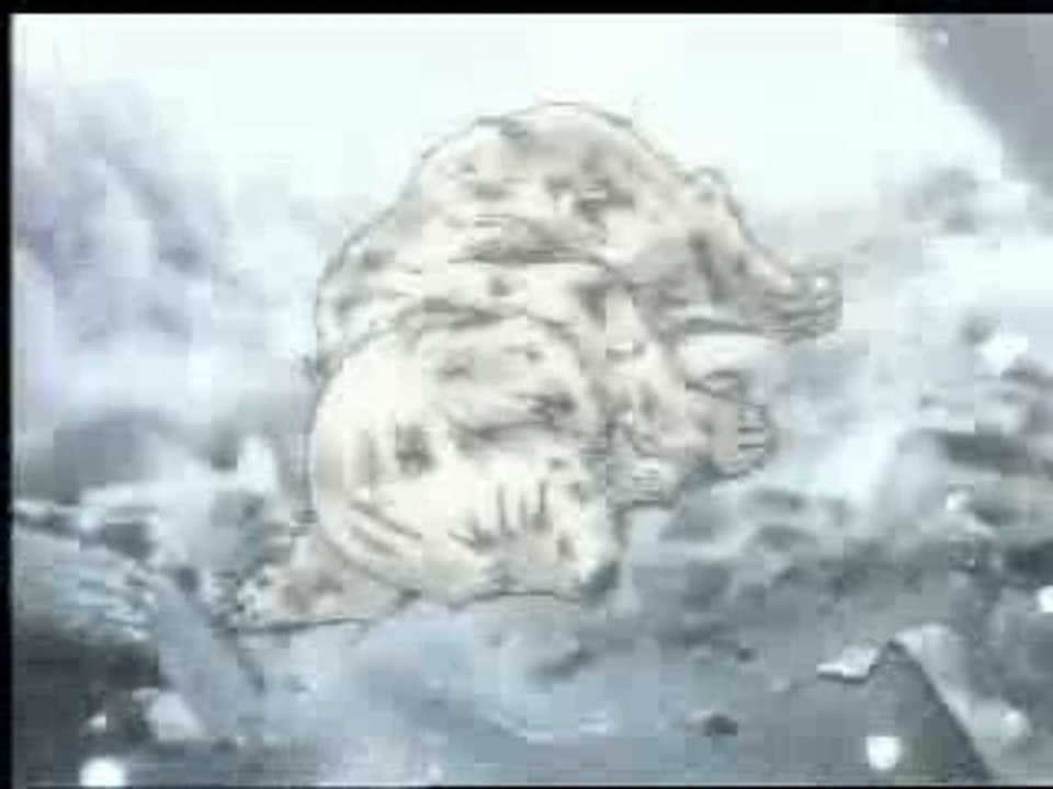 Gundam Wing - Music Videos - Last Resort