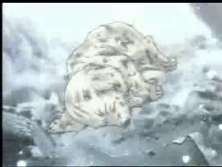 Gundam Wing - Music Videos - Last Resort