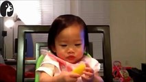 【赤ちゃんおもしろ】『海外のおもしろ赤ちゃんが初めてのレモンに酸っぱくてびっくり！』　～可愛い赤ちゃんの初体験～