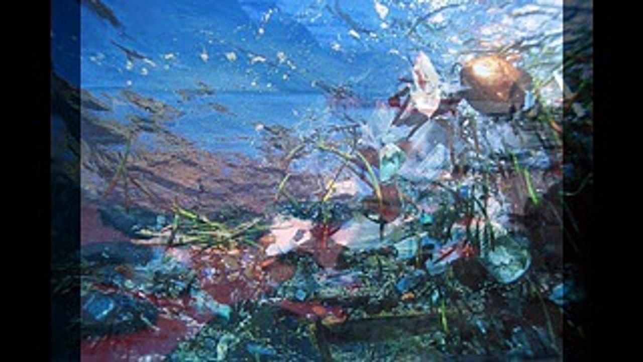 Clip CHANTE LA VIE, Ô MARIE. De Mabé 974 (auteur) et Frank Martin (compositeur-interpréte)