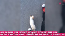 Au Japon, un jeune homme tombe sur un petit chaton qui l'empêche de partir sans lui ! Maintenant dans la Minute Chat #200