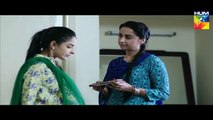 Zindagi Tujh Ko Jiya Episode 37 Full HD Hum TV Drama 25 April 2016