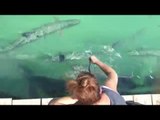 Giant Fish Leaps Out at Tourist for Dinner