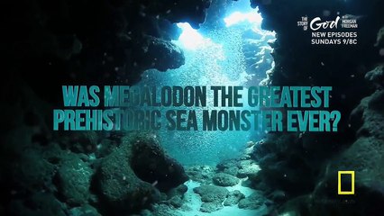 Sea.Monsters-The.Definitive.Guide