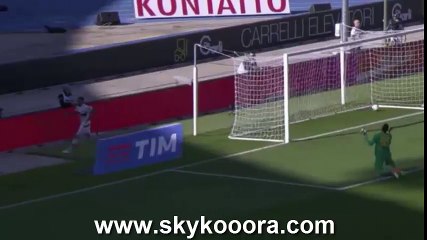Hellas Verona FC vs AC Milan 1-1 - All Goals (25/4/2016)