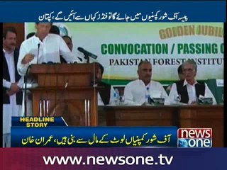 Increase in forests vital for bright future of country Imran Khan