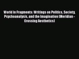 Book World in Fragments: Writings on Politics Society Psychoanalysis and the Imagination (Meridian