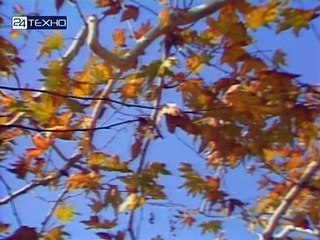 Механическая вселенная/Введение