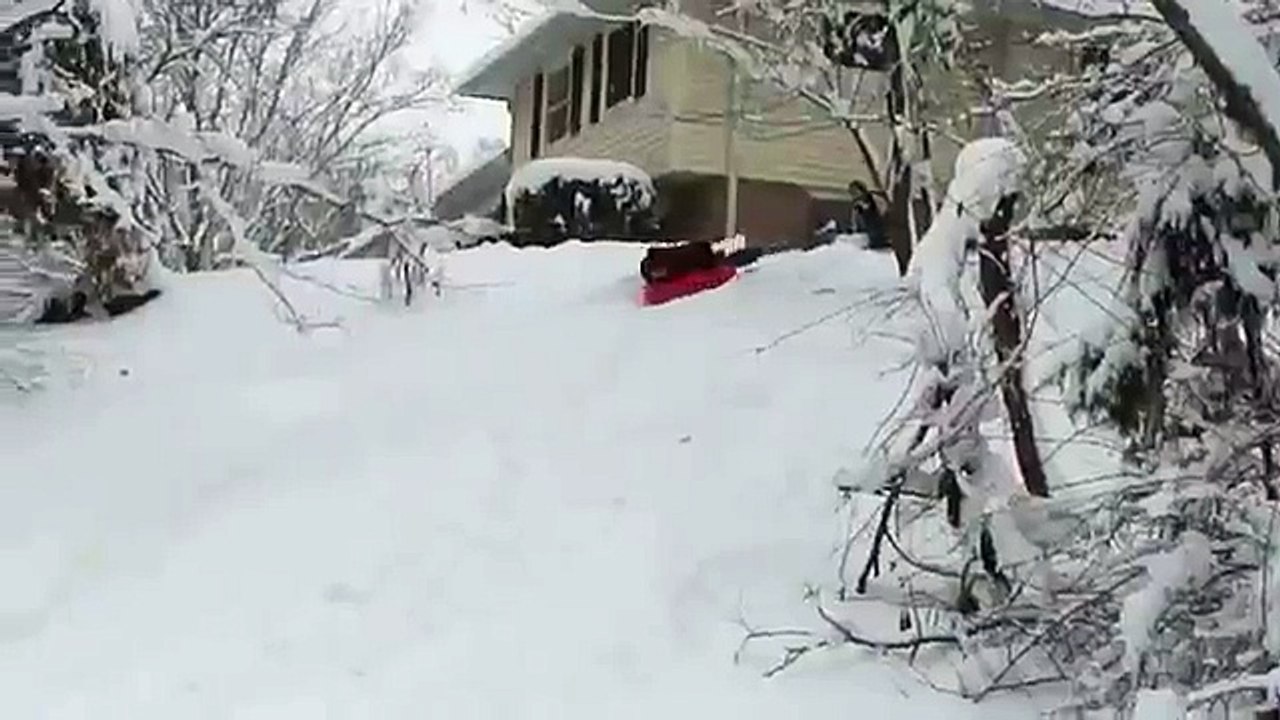 Faceplant