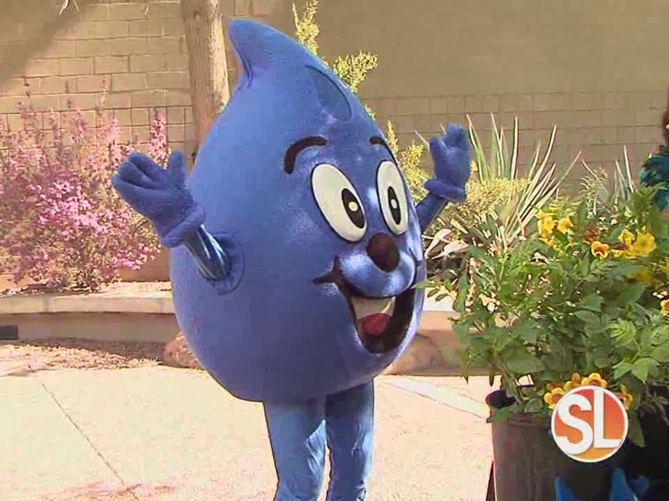 Drab-to-Fab Backyard Rehab: plant something!