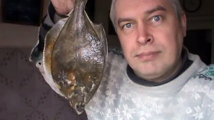 БОЛЬШАЯ РЫБА КАМБАЛА