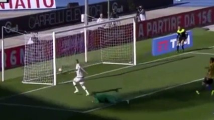 Hellas Verona vs AC Milan 2-1 Goal & Highlights 25-04-2016 HD