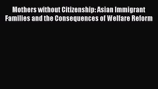 Read Mothers without Citizenship: Asian Immigrant Families and the Consequences of Welfare