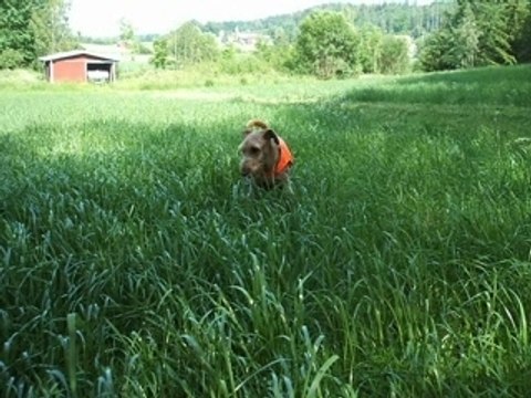 Tears in Heaven - Eric Clapton