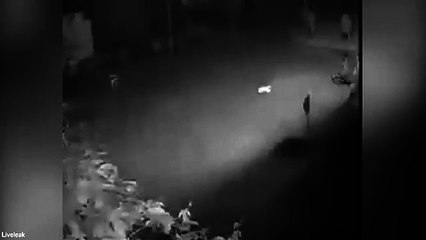 CCTV shows big cat prowling and catching DOG in its sleep