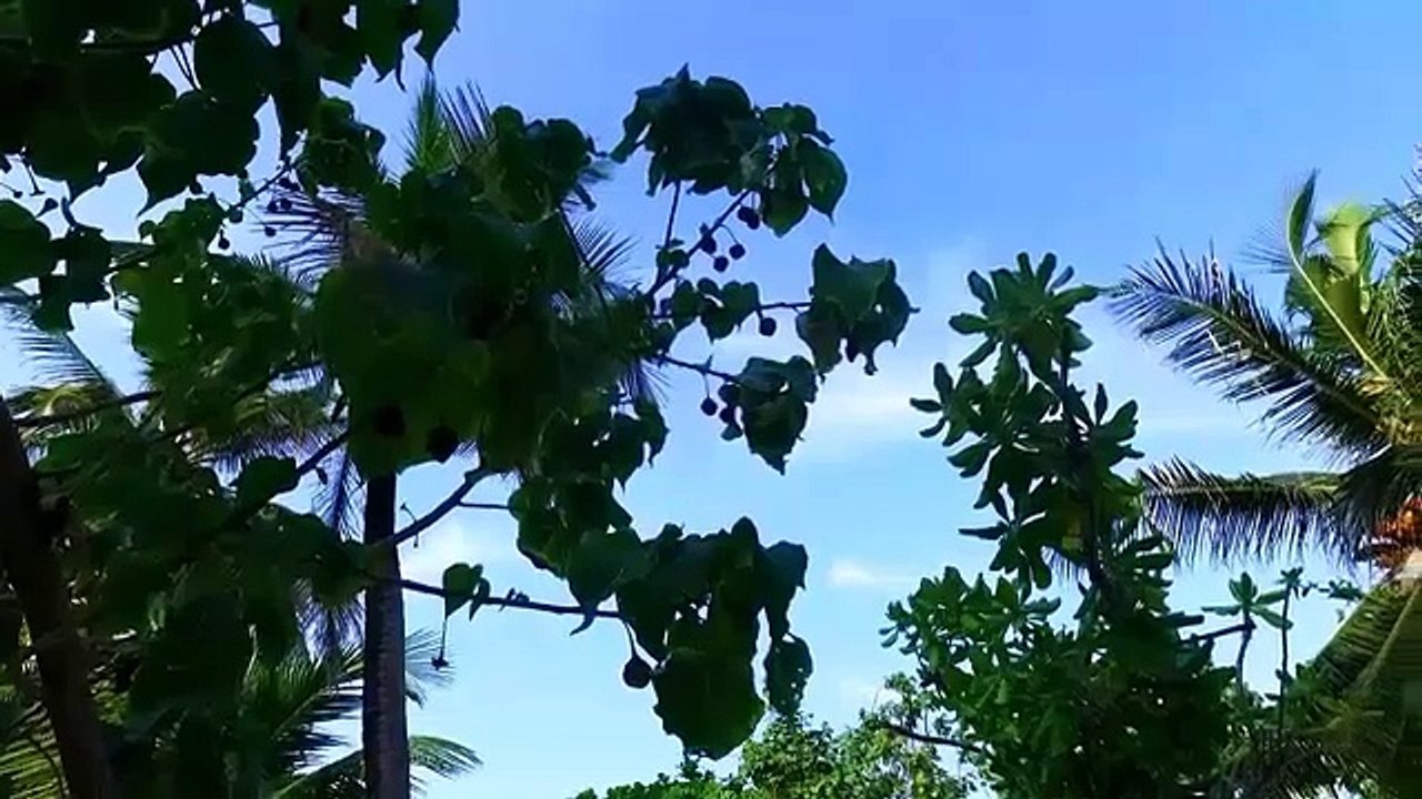 Maldives