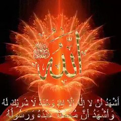 Allah is the Creator