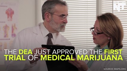 DEA Approves Trial of Medical Marijuana For PTSD Treament