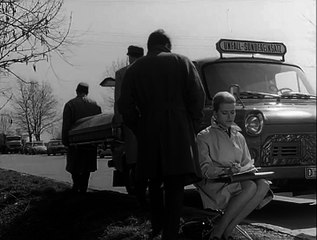 Der Kommissar  E04 - Die Tote im Dornbusch