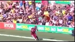 Top 10 catches ever in cricket history 2016 must watch