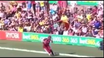 Top 10 catches ever in cricket history 2016 must watch