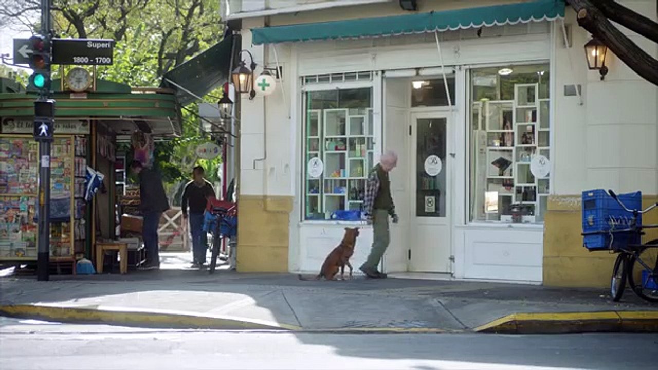 Alors que son maître est en train de mourir, ce chien le regarde, impuissant ! Regardez ce qu’il fait par la suite...