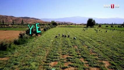 Yeşil Deniz 57.Bölüm