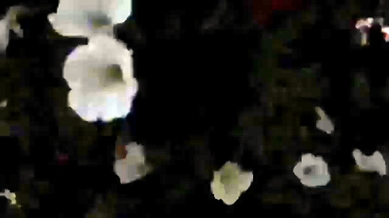 Паркур - это больно