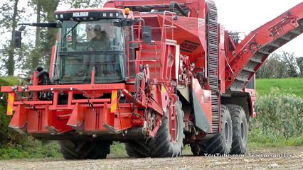 Ultra rare Holmer Terra Melix - Loonbedrijf Koopman