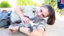 Video Hewan lucu dan penjaga kebun binatang cantik membuat heboh internet