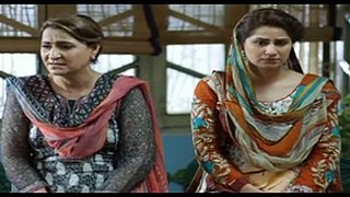 Watch Drama Gul E Rana Episode 8 HUM TV