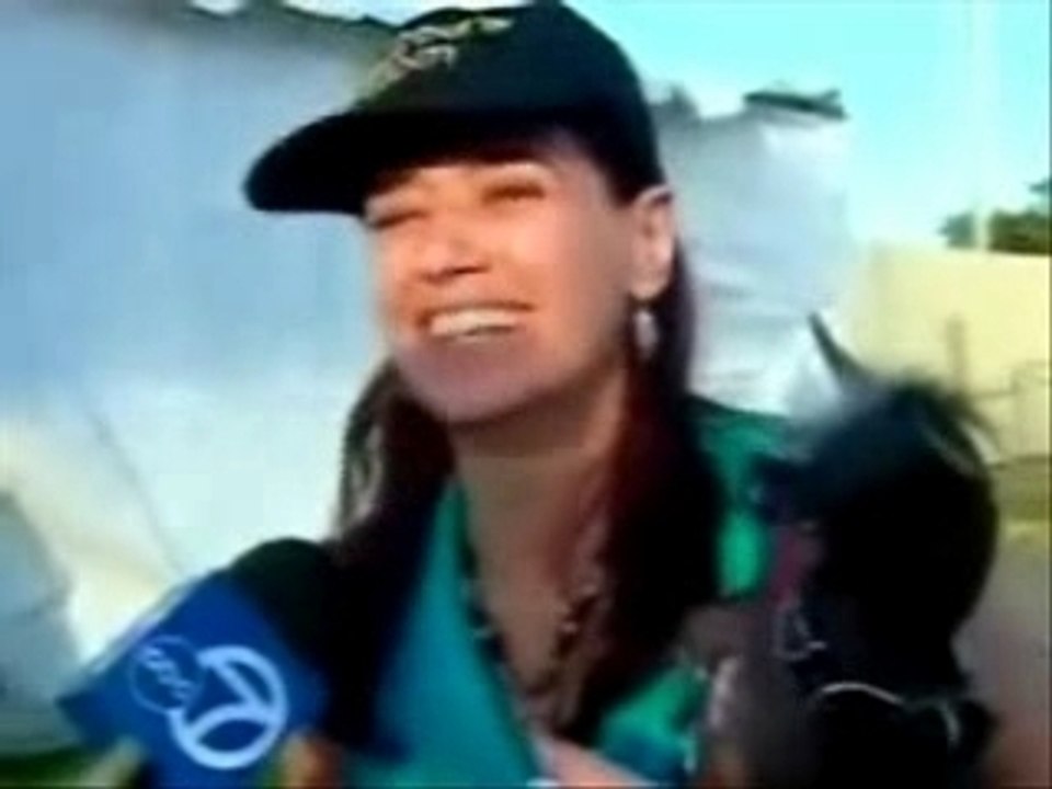 Elwood, chien le plus laid du monde