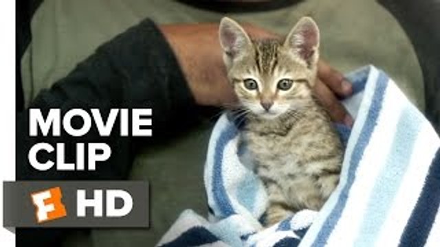 Keanu Movie CLIP - Everything Happens for a Reason (2016) - Jordan Peele Comedy HD