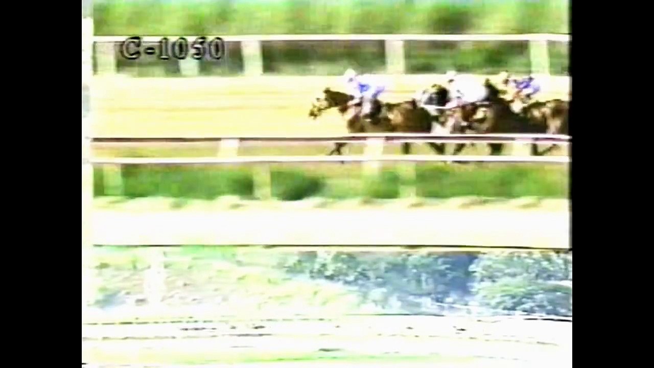 MY OWN BUSINESS Primera victoria en La Rinconada