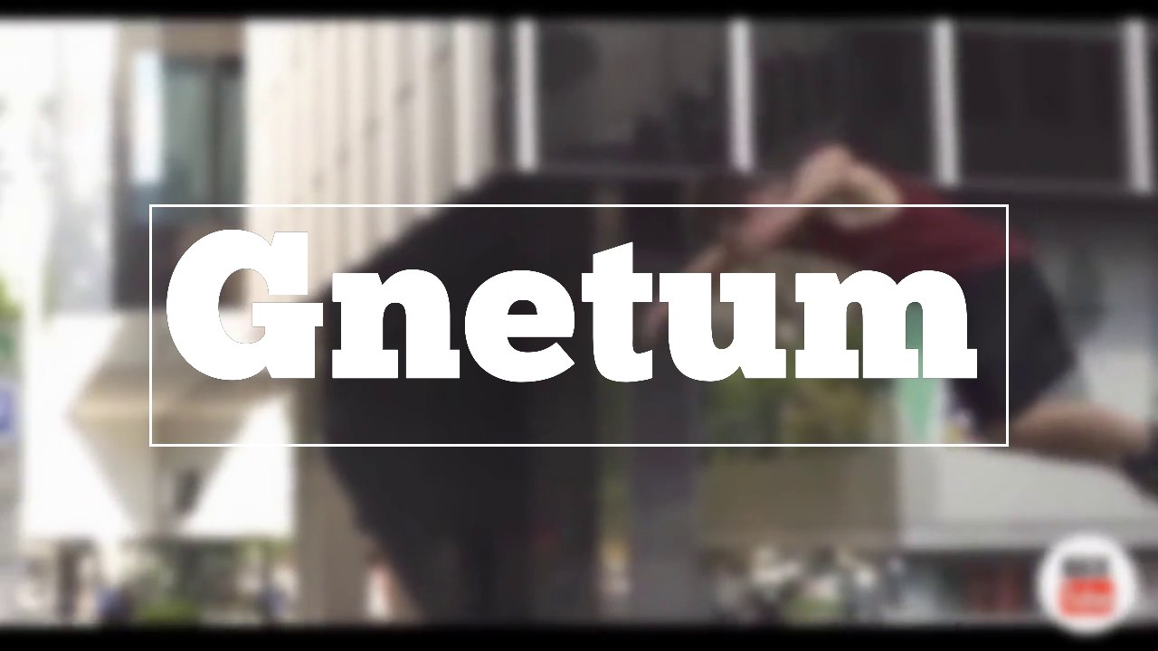 How do you spell Gnetum?