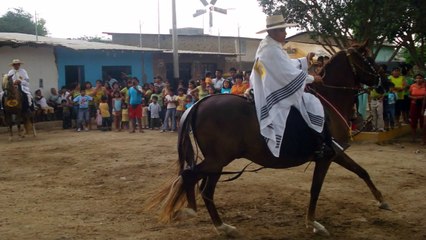 marinera norteña