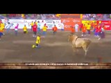 Raging bull punishes cocky bullfighter who mocks 450kg beast without a cape - Costa Rica