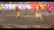 Raging bull punishes cocky bullfighter who mocks 450kg beast without a cape - Costa Rica