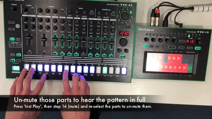 Roland Aira TR 8 and TB 3 Tutorial
