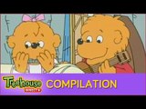 The Berenstain Bears: Season 1 Favorites! (Compilation)